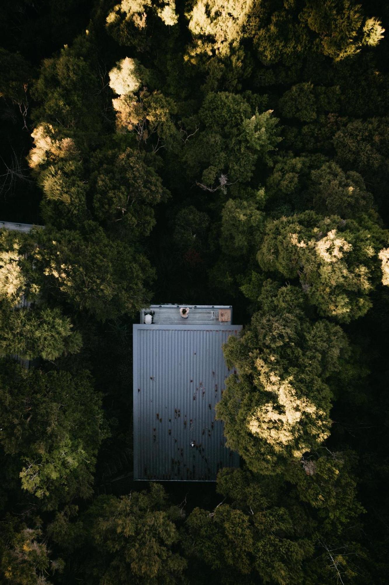Treetop Tranquility At Rekindle Tree Houses Opua Экстерьер фото
